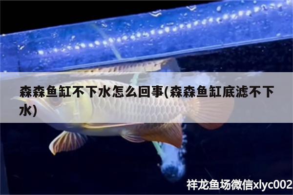 森森魚缸不下水怎么回事(森森魚缸底濾不下水)