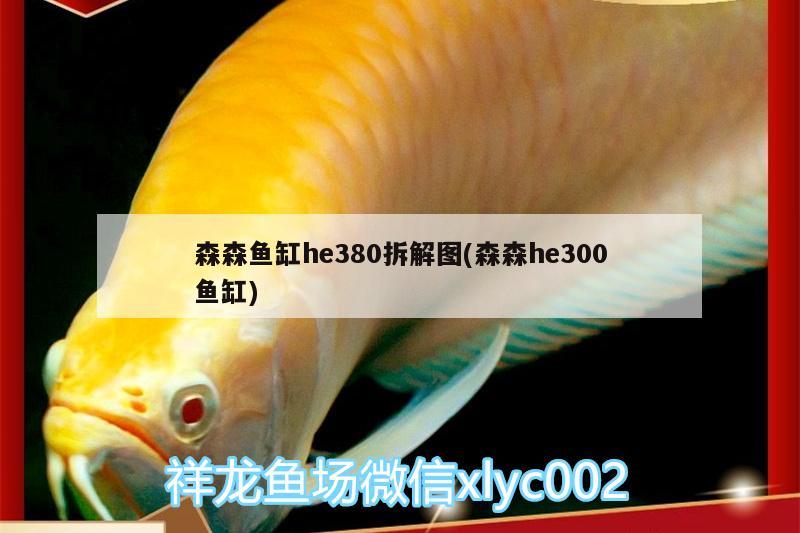 森森魚缸he380拆解圖(森森h(huán)e300魚缸)