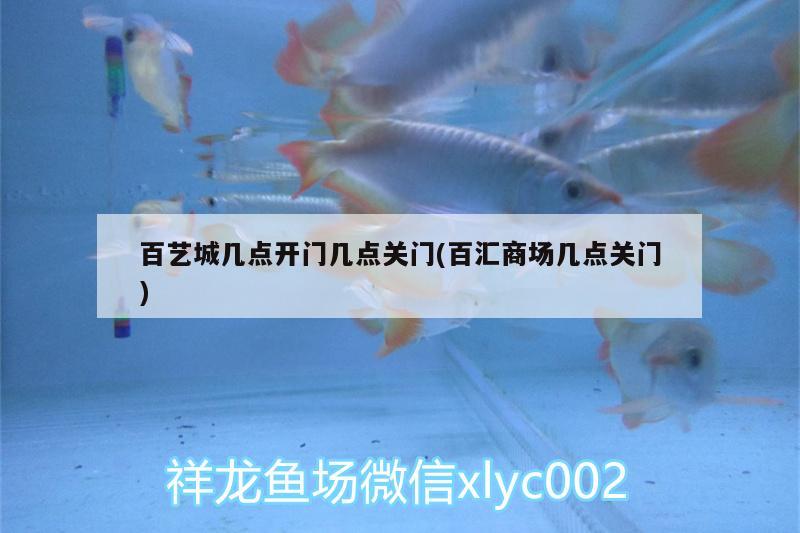 百藝城幾點開門幾點關門(百匯商場幾點關門) 高背金龍魚