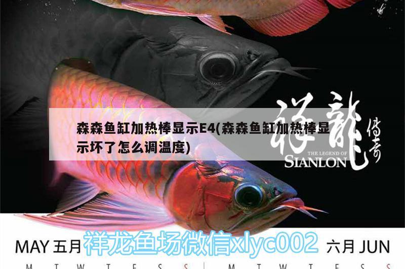 森森魚缸加熱棒顯示E4(森森魚缸加熱棒顯示壞了怎么調(diào)溫度) 帝王三間魚