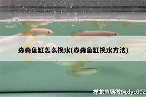 森森魚缸怎么換水(森森魚缸換水方法)