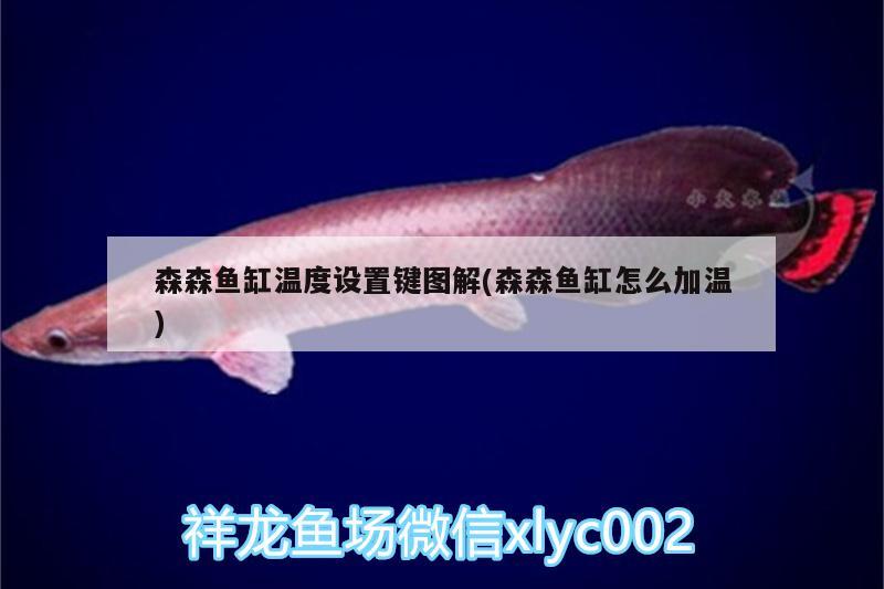 森森魚缸溫度設置鍵圖解(森森魚缸怎么加溫) 飛鳳魚苗