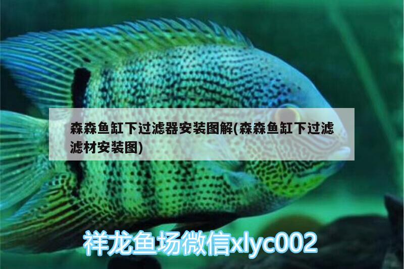 森森魚缸下過濾器安裝圖解(森森魚缸下過濾濾材安裝圖)