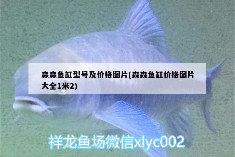 森森魚(yú)缸型號(hào)及價(jià)格圖片(森森魚(yú)缸價(jià)格圖片大全1米2)