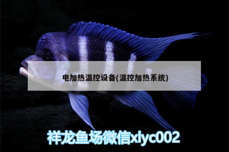 電加熱溫控設備(溫控加熱系統(tǒng)) 海象魚