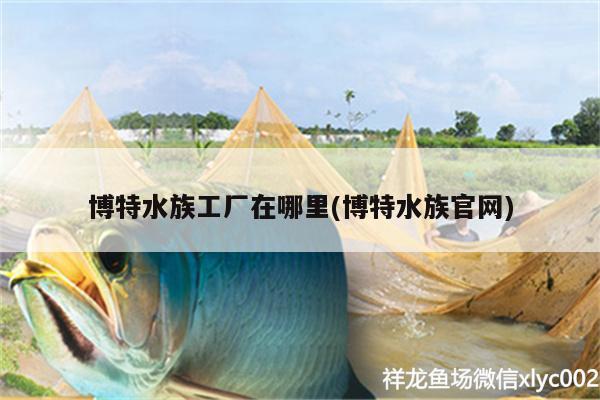 博特水族工廠在哪里(博特水族官網(wǎng))