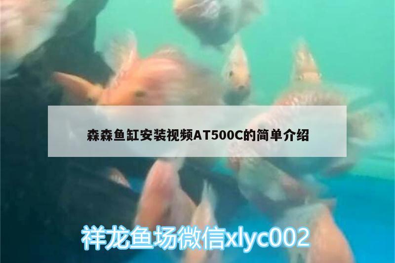 森森魚缸安裝視頻AT500C的簡單介紹