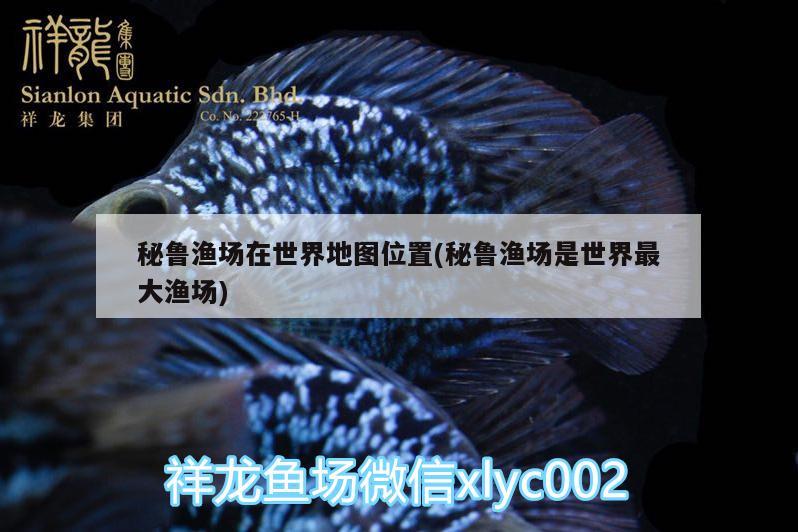 秘魯漁場在世界地圖位置(秘魯漁場是世界最大漁場) 大嘴鯨魚