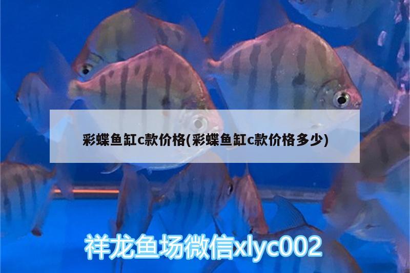 彩蝶魚缸c款價格(彩蝶魚缸c款價格多少)