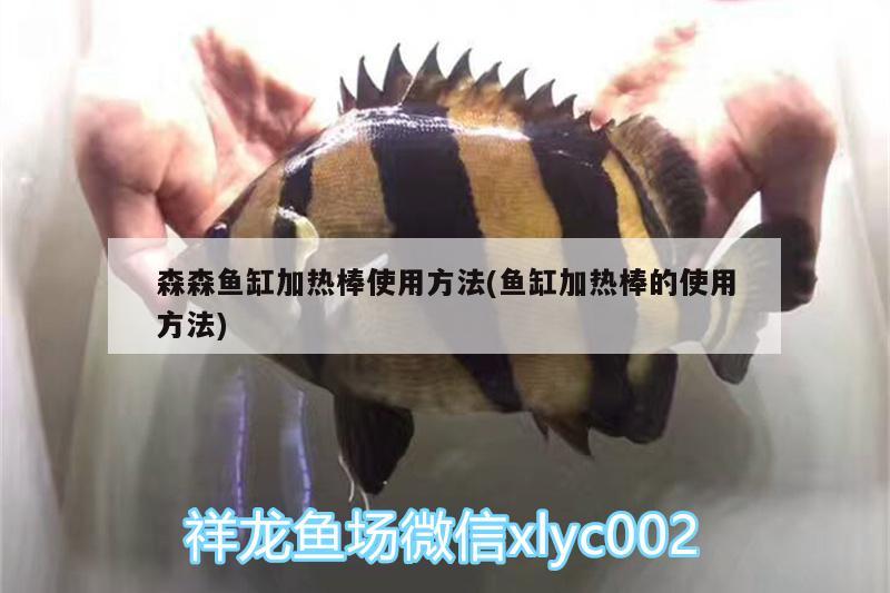 森森魚缸加熱棒使用方法(魚缸加熱棒的使用方法) 錦鯉池魚池建設(shè)