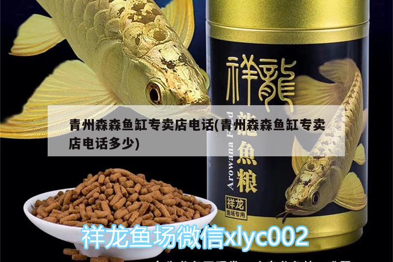 青州森森魚缸專賣店電話(青州森森魚缸專賣店電話多少) 羅漢魚 第2張