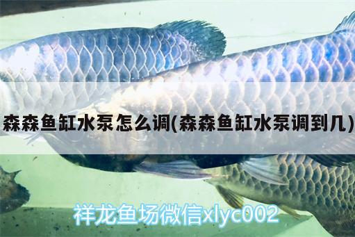 森森魚缸水泵怎么調(diào)(森森魚缸水泵調(diào)到幾) 魚缸水泵