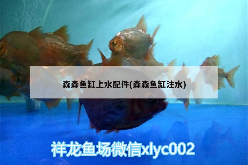 森森魚缸上水配件(森森魚缸注水) 胭脂孔雀龍魚