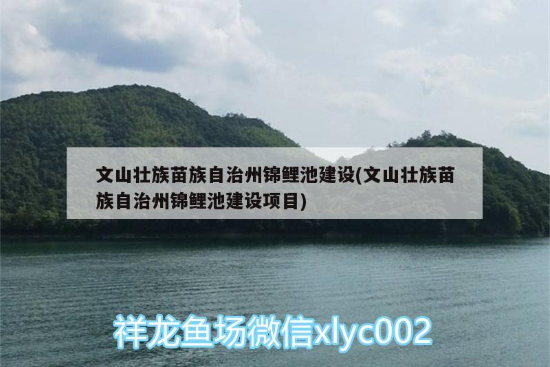 文山壯族苗族自治州錦鯉池建設(shè)(文山壯族苗族自治州錦鯉池建設(shè)項(xiàng)目)