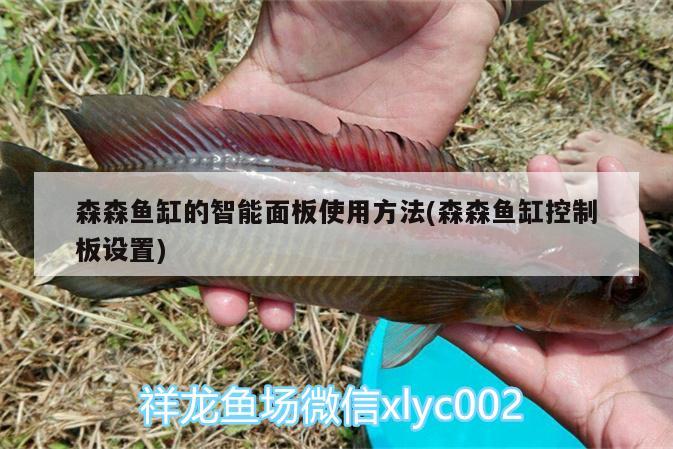 森森魚缸的智能面板使用方法(森森魚缸控制板設置) 圣菲埃及魚