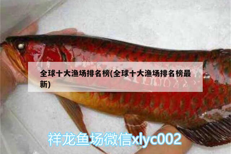 全球十大漁場排名榜(全球十大漁場排名榜最新) 養(yǎng)魚的好處