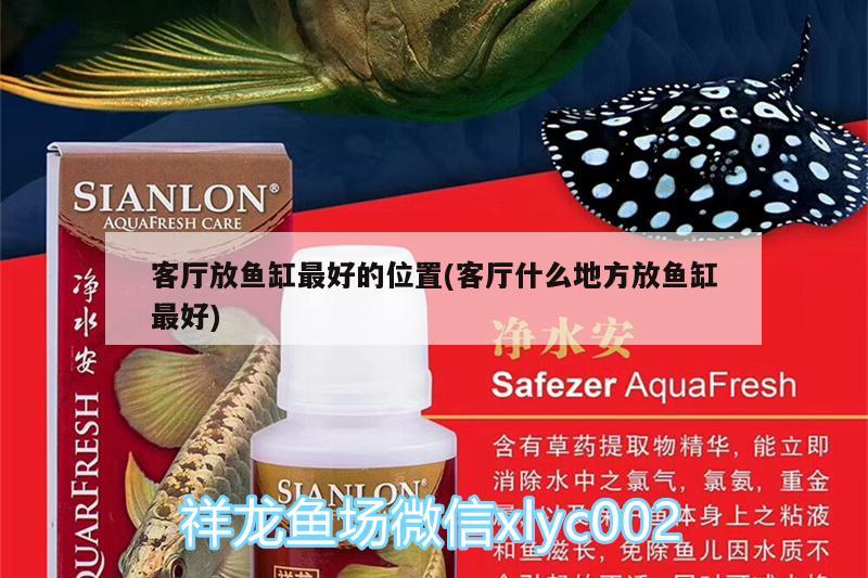 客廳放魚缸最好的位置(客廳什么地方放魚缸最好) 月光鴨嘴魚苗