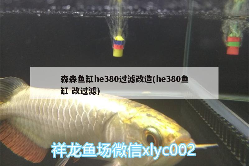 森森魚缸he380過濾改造(he380魚缸改過濾) 觀賞魚市場