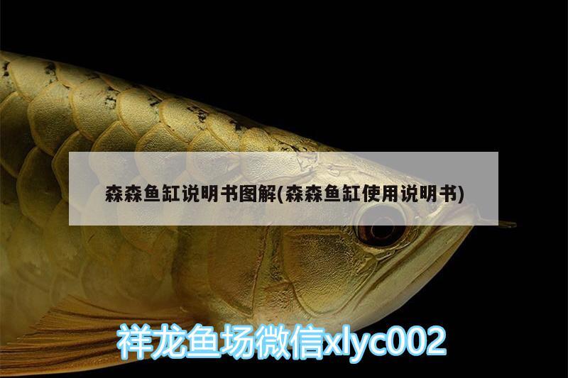 森森魚缸說明書圖解(森森魚缸使用說明書) 過濾設(shè)備