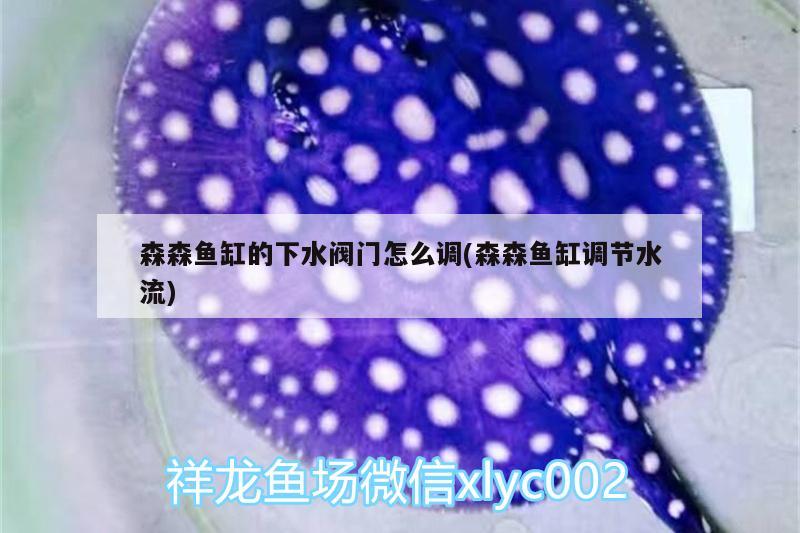 森森魚缸的下水閥門怎么調(diào)(森森魚缸調(diào)節(jié)水流)