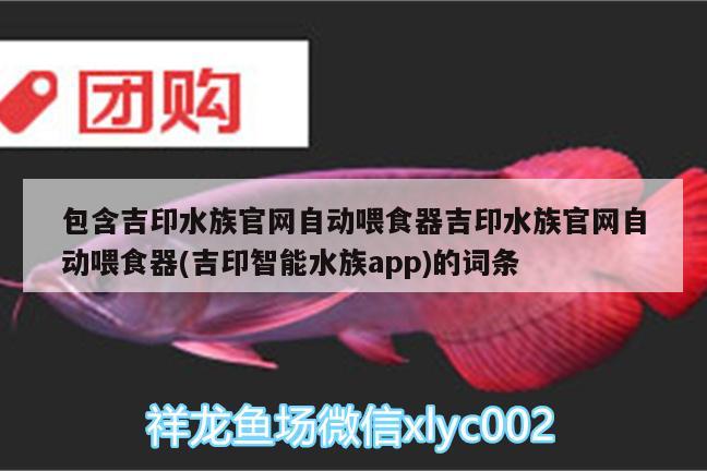 包含吉印水族官網(wǎng)自動(dòng)喂食器吉印水族官網(wǎng)自動(dòng)喂食器(吉印智能水族app)的詞條 吉印水族 第2張