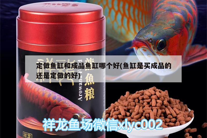 定做魚缸和成品魚缸哪個好(魚缸是買成品的還是定做的好)