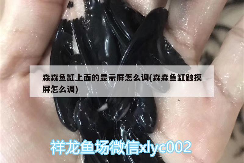 森森魚缸上面的顯示屏怎么調(diào)(森森魚缸觸摸屏怎么調(diào))