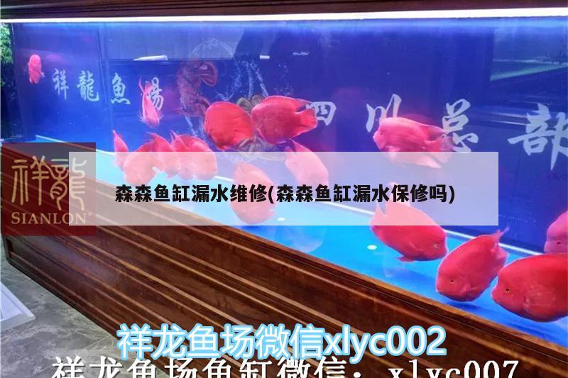 森森魚缸漏水維修(森森魚缸漏水保修嗎) 魚缸/水族箱