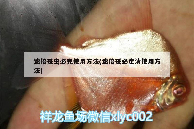 速倍妥蟲必克使用方法(速倍妥必定清使用方法)