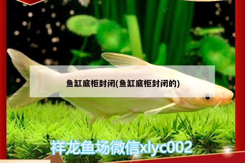 魚缸底柜封閉(魚缸底柜封閉的)