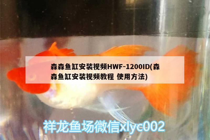 森森魚(yú)缸安裝視頻HWF-1200ID(森森魚(yú)缸安裝視頻教程使用方法)