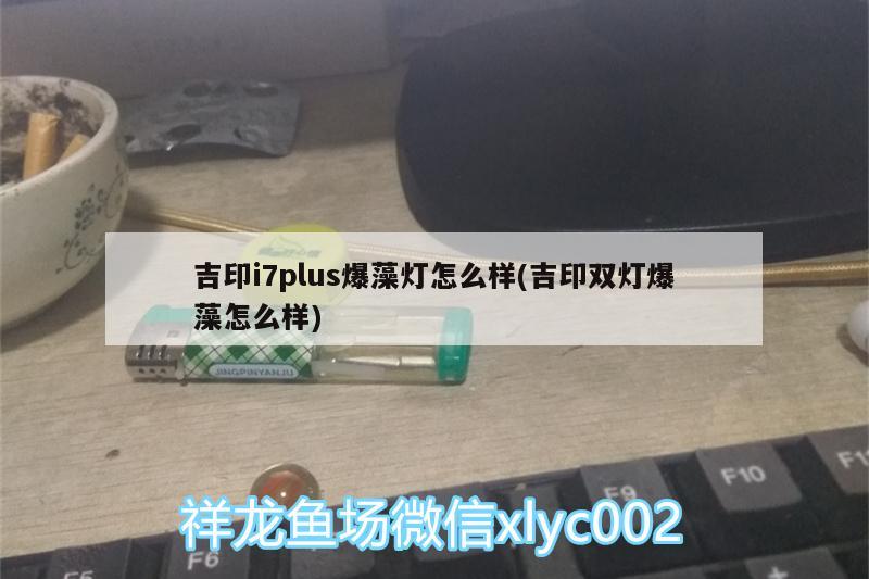 吉印i7plus爆藻燈怎么樣(吉印雙燈爆藻怎么樣) 吉印水族