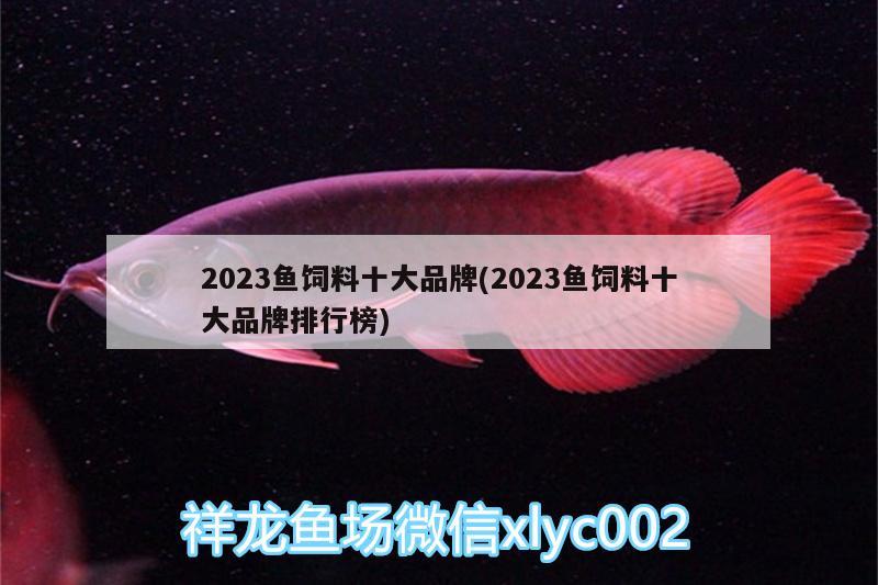 2023魚飼料十大品牌(2023魚飼料十大品牌排行榜)