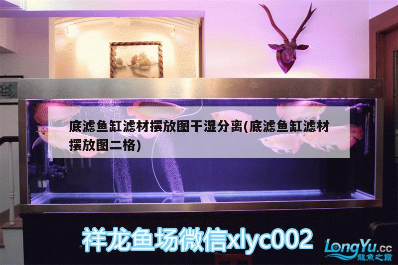 底濾魚缸濾材擺放圖干濕分離(底濾魚缸濾材擺放圖二格)