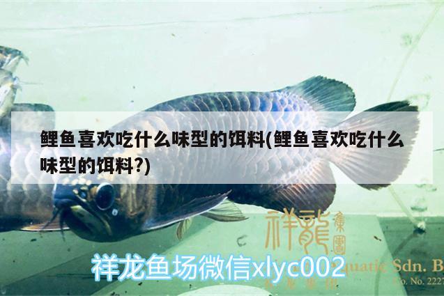 鯉魚喜歡吃什么味型的餌料(鯉魚喜歡吃什么味型的餌料?) 白子銀版魚