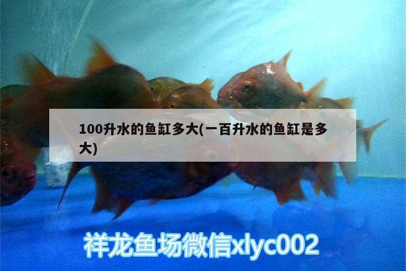 100升水的魚(yú)缸多大(一百升水的魚(yú)缸是多大)