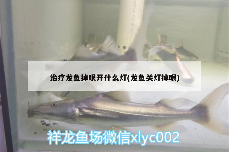 治療龍魚掉眼開什么燈(龍魚關燈掉眼)