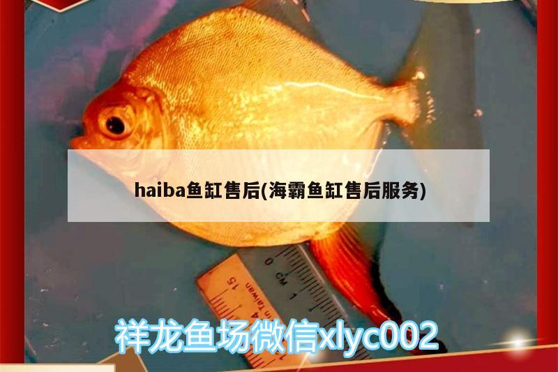 haiba魚缸售后(海霸魚缸售后服務(wù))