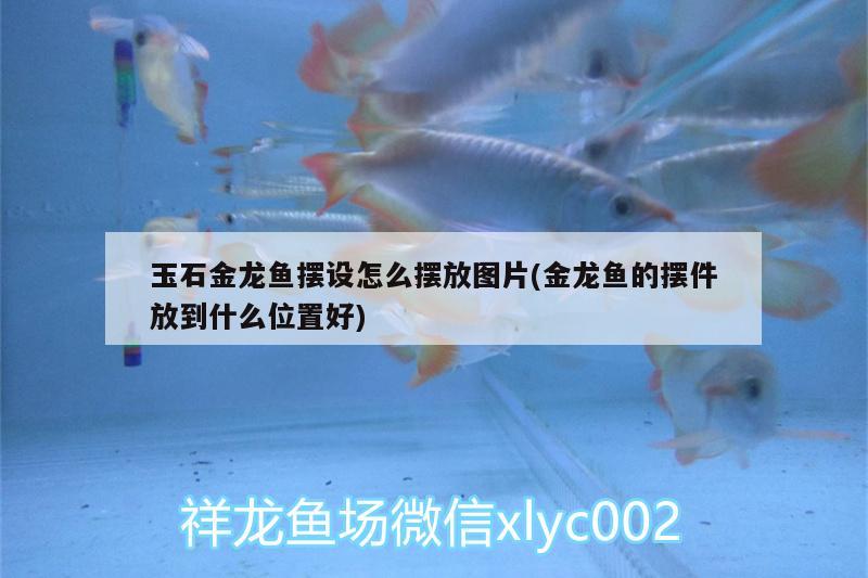 玉石金龍魚擺設(shè)怎么擺放圖片(金龍魚的擺件放到什么位置好)