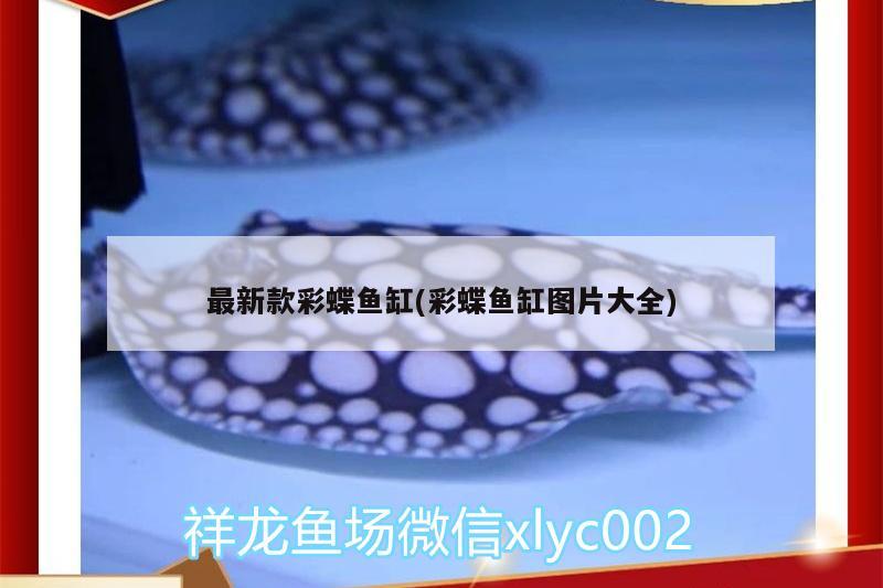 最新款彩蝶魚(yú)缸(彩蝶魚(yú)缸圖片大全) 羅漢魚(yú)