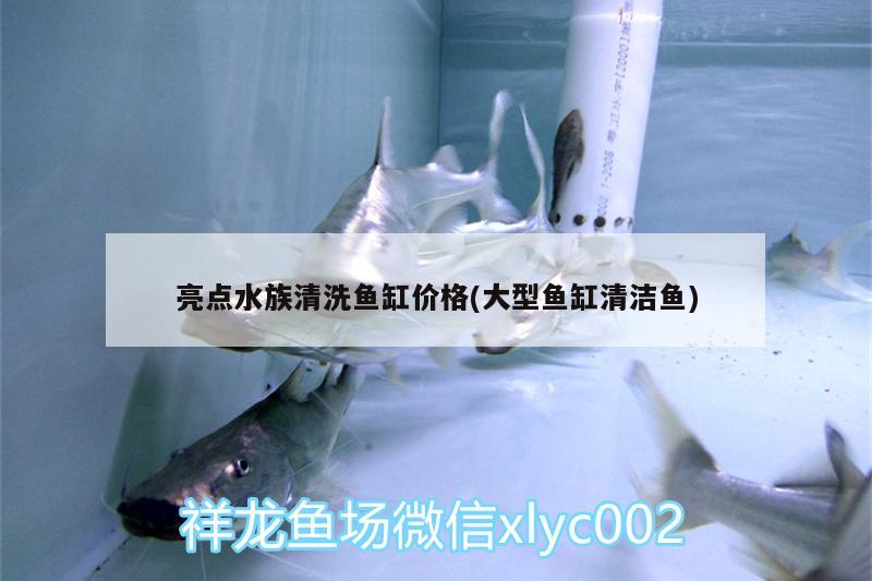 亮點(diǎn)水族清洗魚(yú)缸價(jià)格(大型魚(yú)缸清潔魚(yú))