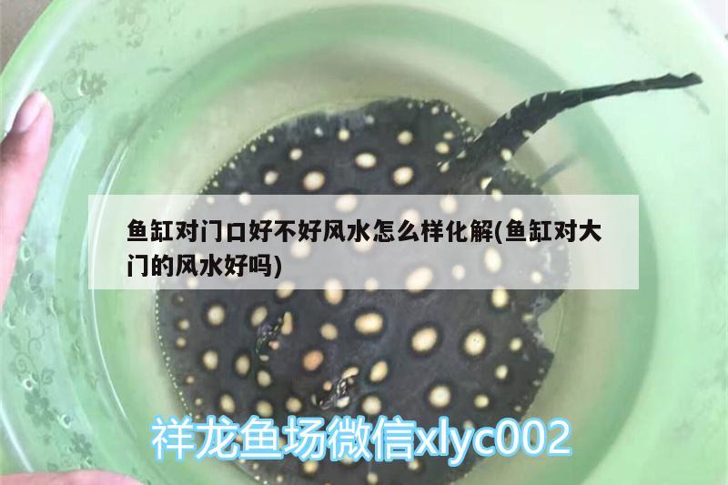 魚缸對(duì)門口好不好風(fēng)水怎么樣化解(魚缸對(duì)大門的風(fēng)水好嗎) 魚缸風(fēng)水 第2張