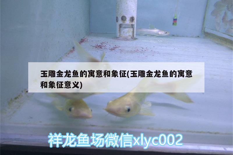 玉雕金龍魚的寓意和象征(玉雕金龍魚的寓意和象征意義) 黃金達(dá)摩魚