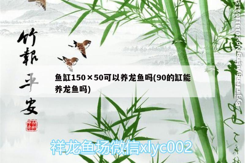 魚缸150×50可以養(yǎng)龍魚嗎(90的缸能養(yǎng)龍魚嗎)