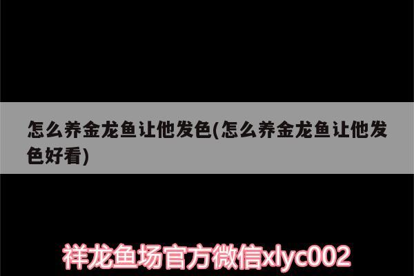 怎么養(yǎng)金龍魚讓他發(fā)色(怎么養(yǎng)金龍魚讓他發(fā)色好看) 金龍魚百科