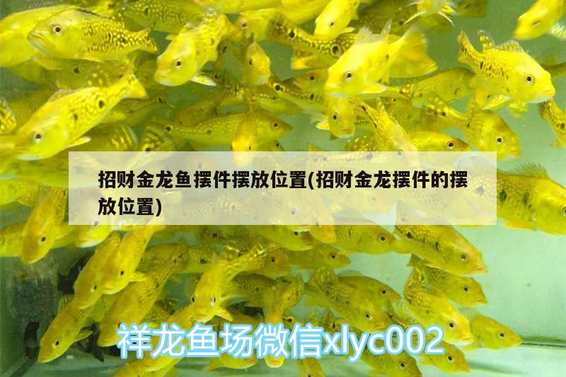 招財金龍魚擺件擺放位置(招財金龍擺件的擺放位置)