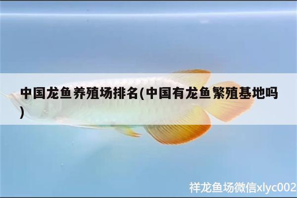 中國龍魚養(yǎng)殖場排名(中國有龍魚繁殖基地嗎)