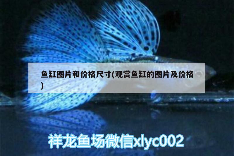 魚(yú)缸圖片和價(jià)格尺寸(觀賞魚(yú)缸的圖片及價(jià)格)