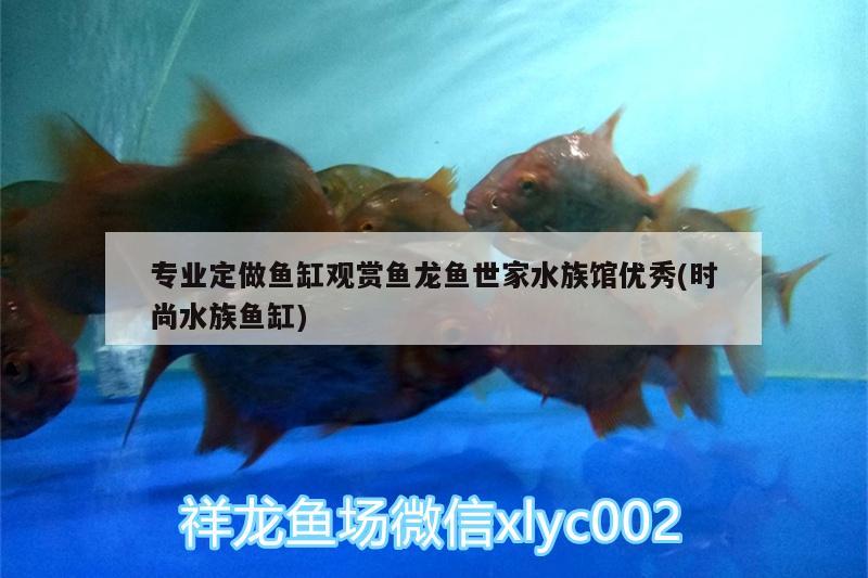 專業(yè)定做魚缸觀賞魚龍魚世家水族館優(yōu)秀(時尚水族魚缸)