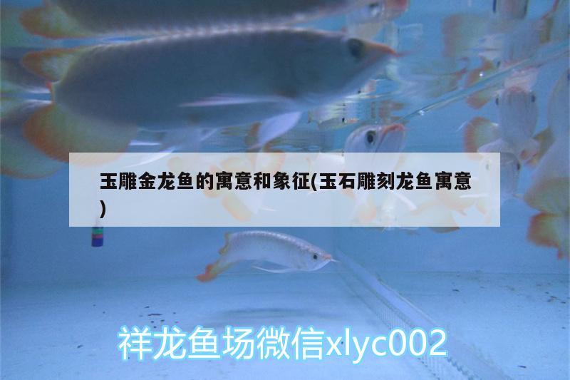 玉雕金龍魚的寓意和象征(玉石雕刻龍魚寓意)